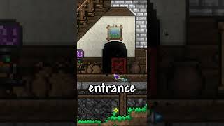 Quick Background Door Building Tips in Terraria terraria [upl. by Kola]