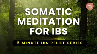 Guided Somatic Relaxation for Digestion amp IBS  5 Minute Gut Balance Meditation [upl. by Aled932]