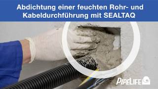 Abdichtung einer feuchten Rohr und Kabeldurchführung mit SEALTAQ [upl. by Kin]