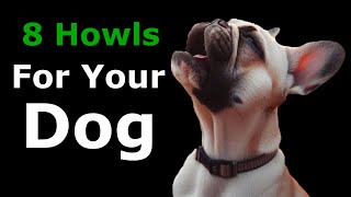 DOG HOWLING to Make Your Dog Howl  8 DOGS HOWLING and Barking Sound Effect [upl. by Mahseh]