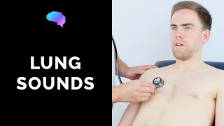 Lung sounds respiratory auscultation sounds  UKMLA  CPSA [upl. by Sonny]