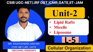 Membrane Structure  Lipid Rafts  Micelle  Liposome  Unit 2 𝐆𝐞𝐧𝐞𝐬𝐢𝐬 𝐈𝐧𝐬𝐭𝐢𝐭𝐮𝐭𝐞 𝐨𝐟 𝐋𝐢𝐟𝐞 𝐒𝐜𝐢𝐞𝐧𝐜𝐞𝐬 [upl. by Archibaldo]