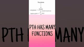 Phenylalanine catabolism mnemonic  Phenylalanine catabolism outline made easy biochemistryshorts [upl. by Bevus]