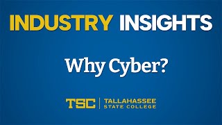 Industry Insights Why Cyber [upl. by Apul]