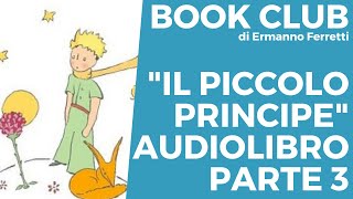 Il piccolo principe  Audiolibro spiegato parte 3 [upl. by Linnell]