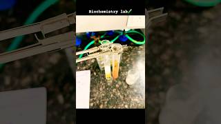 Biochemistry lab 🧪mbbs 1st yearshortsvideo medicalcollege aimmmcr [upl. by Auohs87]