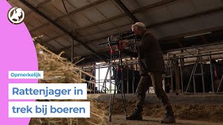 Vergeet rattengif deze jager schiet op ratten Beetje uit de hand gelopen [upl. by Sibell958]