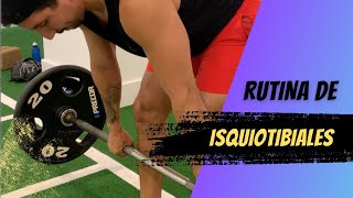 3 Simples Ejercicios para MEJORAR tus Isquiotibiales 🦵🏽 Mejora Fuerza y Flexibilidad [upl. by Aehsila]