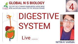 Digestive system Lecture 4 [upl. by Anitsuj]