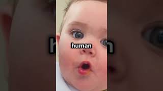 Animals vs Humans The Hilarious Truth  History  shorts sciencefacts viral [upl. by Euqinamod]