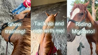 Tack up amp ride with me [upl. by Ardnassac]