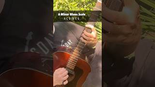 Acoustic Blues guitar licks A [upl. by Cox]