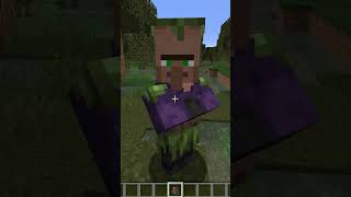 THE TWO UNUSED VILLAGER VARIANTS IN MINECRAFT minecraft shorts gaming [upl. by Nilyarg107]