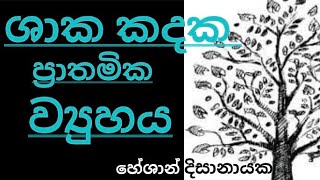 Primary structure of plant stem  ද්වි බීජපත්‍රී සහ එක බීජපත්‍රී ශාක කදක ප්‍රාතමික ව්‍යුහය [upl. by Arney59]