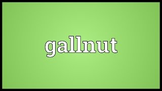 Gallnut Meaning [upl. by Ahsenod769]