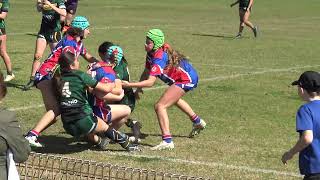 HIGHLIGHTS   U14 Girls Tackle  Preliminary FINAL  Gerringong V Stingrays  17th August 2024 [upl. by Cummins312]