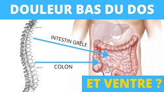 Douleur bas du dos et ventre  quel lien existetil [upl. by Iaj]