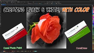 Corel Photo Paint X8 CREATING BLACK amp WHITE W COLOR Tutorial CorelDraw Graphics Suite 2017 [upl. by Demakis]