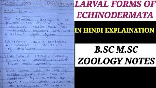 LARVAL FORMS OF ECHINODERMATA IN HINDI [upl. by Attikin]