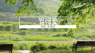 장사익 찔레꽃 산조대금 조재수 [upl. by Adnoma554]