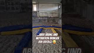 Das erste Spingtraining für Bellamie 🤩 minishetty [upl. by Dosia]