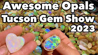 Awesome Opals at the Tucson Gem Show 2023 w AampS OPAL Spencer Opal Mines Ethiopian Goodies [upl. by Vaasta324]