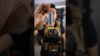 Nerf dart vs 308  Actually the same [upl. by Ylam]