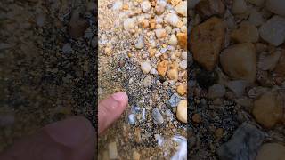 Crazy😱‼️discovery of gold dust in inland rivers carried by flash waters golddiscovery goldrush [upl. by Hephzibah]