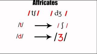 Affricates 2 phonetics course [upl. by Gunner17]