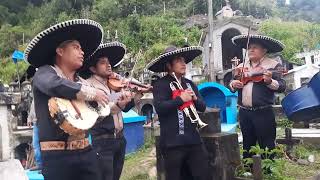 Mariachi Na savi i😢😢 Ya Ra ibai Atzompa GRO [upl. by Aneg481]