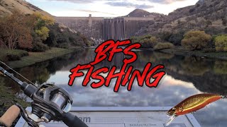 BFS fishing on the Lower Kings River [upl. by Laiceps]