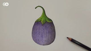 How to draw and colour a Brinjal [upl. by Ferullo]