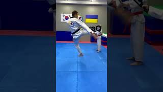 Master These 9 Essential Taekwondo Kicks [upl. by Luapnaes]