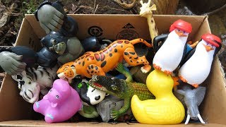 Variety of Zoo Animals for Kids Toy Showcase [upl. by Taddeo383]