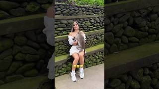 The animals 😂🤣 Fails funnyanimals animalsfunny pets shorts [upl. by Casabonne]