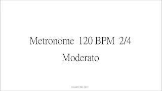 Metronome 120 BPM 24 Moderato [upl. by Yenor]