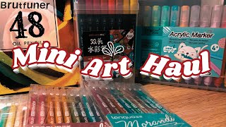 Mini Art Haul  My first art supplies haul  Salem Artsy 🎁🎄 [upl. by Jasmin]