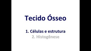 Tecido Osseo  parte 01 [upl. by Jacobo]