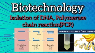 Polymerase chain reaction PCR l isolation of DNA biology [upl. by Tunk328]