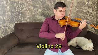 Violino Guarnerius Cannone 28 VENDIDO [upl. by Ollie]