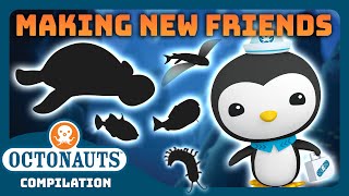 Octonauts  🤗 Making New Friends 🐳  3 Hours Full Episodes Marathon [upl. by Maryly]