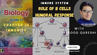 Role of B Cells in Immunity  3rd Line of Defence  Humoral Response  Biology  Urdu Hindi English [upl. by Eeliak]