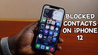 How to See Blocked Contacts on iPhone 12 [upl. by Arola]