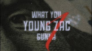 AVG  WHAT YOU WANT  BY YOUNG ZAC GUNNA   VISUALIZER [upl. by Carnahan]