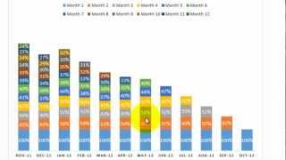 Excel Cohort Analysis [upl. by Kauslick681]