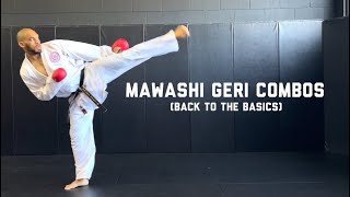 Kumite Combos for Mawashi Geri [upl. by Christal]