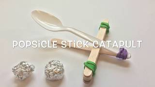 Popsicle Stick Catapult [upl. by Wynne]