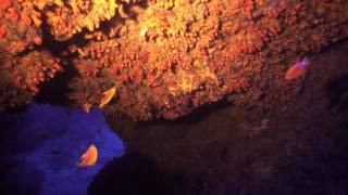 Scuba Diving the Deep Ulua Cave off of Kaena Point Oahu on 3310 [upl. by Pradeep]