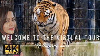 Virtual Tour of Melbourne Zoo  Australia [upl. by Stultz920]