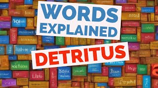 Detritus  Words Explained [upl. by Adiarf]